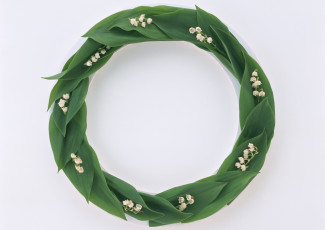 Картинка цветы ландыши венок листья