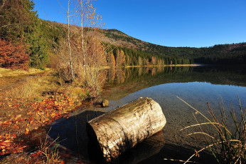 Картинка автор ovidiu david природа реки озера бревно озеро