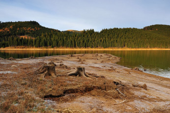 Картинка автор ovidiu david природа реки озера пень