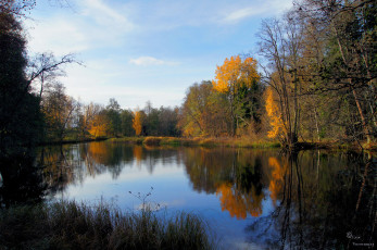 Картинка природа реки озера небо лес река