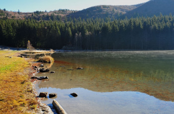 Картинка автор ovidiu david природа реки озера берег