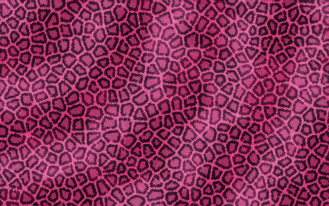 Обои картинки фото разное, текстуры, фон, розовый