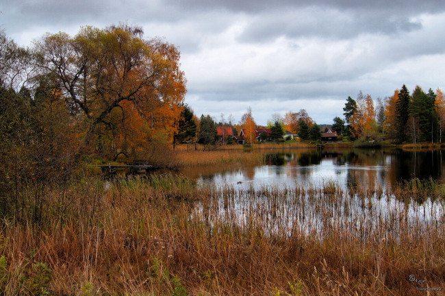 Обои картинки фото природа, реки, озера, деревья, дома, вода