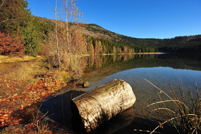 Обои картинки фото автор, ovidiu, david, природа, реки, озера, бревно, озеро