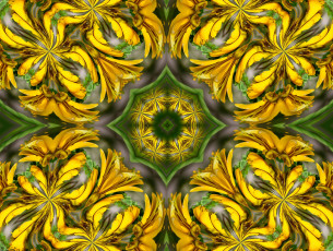 Картинка разное компьютерный дизайн цветы