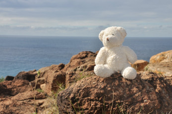 Картинка разное игрушки медвежонок камни