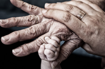 Картинка разное руки бабушка мама малыш