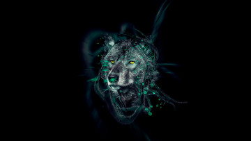 Картинка разное компьютерный дизайн волк абстракция темный черный