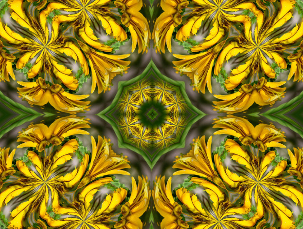 Обои картинки фото разное, компьютерный, дизайн, цветы