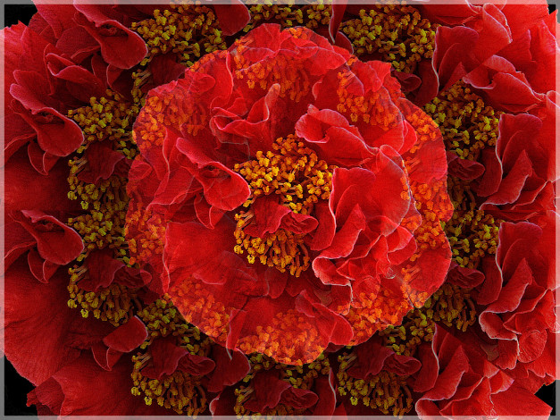 Обои картинки фото разное, компьютерный, дизайн, маки