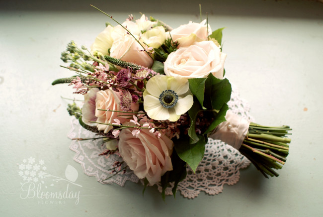 Обои картинки фото цветы, букеты, композиции, астрантия, розы, анемон