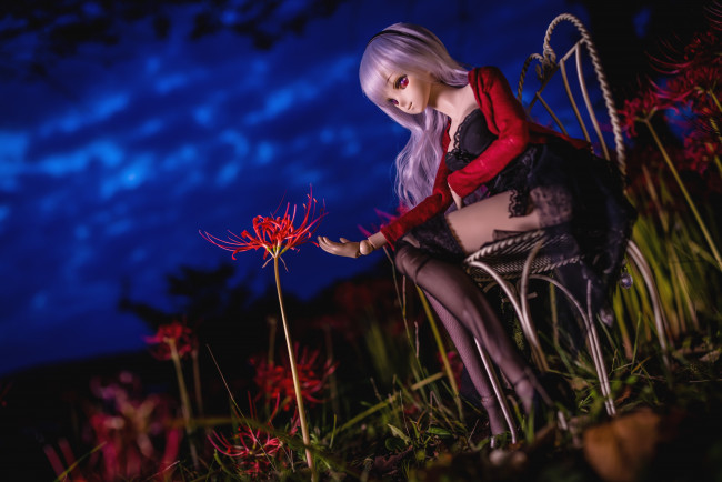 Обои картинки фото разное, игрушки, кукла