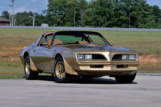 Обои картинки фото автомобили, pontiac, am, trans, edition, special, gold, firebird