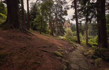 Картинка города -+пейзажи лес особняк