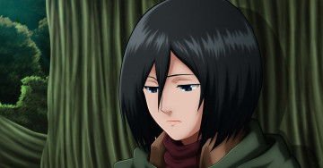 Картинка аниме shingeki+no+kyojin атака титанов микаса
