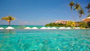 Картинка природа тропики пальмы море деревья курорт