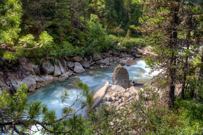 Обои картинки фото природа, реки, озера, лес, река