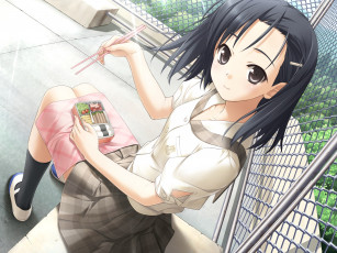 Картинка аниме yosuga+no+sora фон взгляд девушка