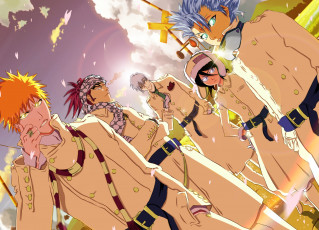 Картинка аниме bleach rukia kuchiki toshiro hitsugaya ichigo kurosaki shinigami gin ichimaru anime renji abarai