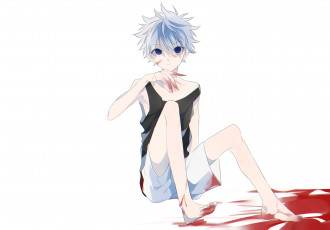 Картинка аниме hunter+x+hunter killua zoldyck