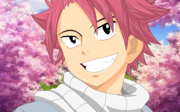 Картинка аниме fairy+tail бек хвост феи хиро машима natsu