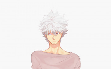 Картинка аниме hunter+x+hunter killua zoldyck