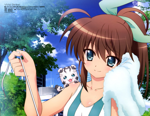 Обои картинки фото vivid strike, аниме, фон, взгляд, девушки