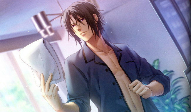 Обои картинки фото аниме, hakuouki, hijikata, toshizou