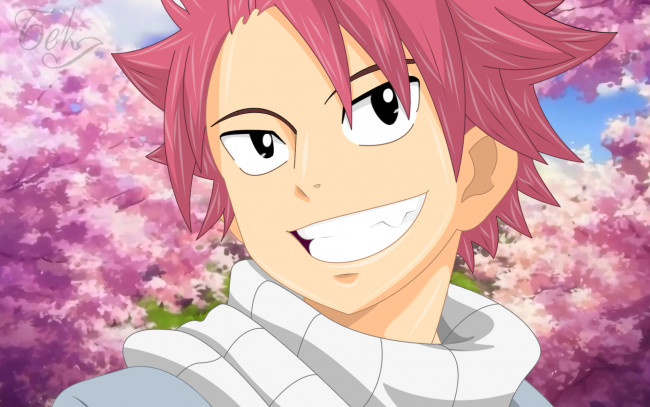 Обои картинки фото аниме, fairy tail, бек, хвост, феи, хиро, машима, natsu