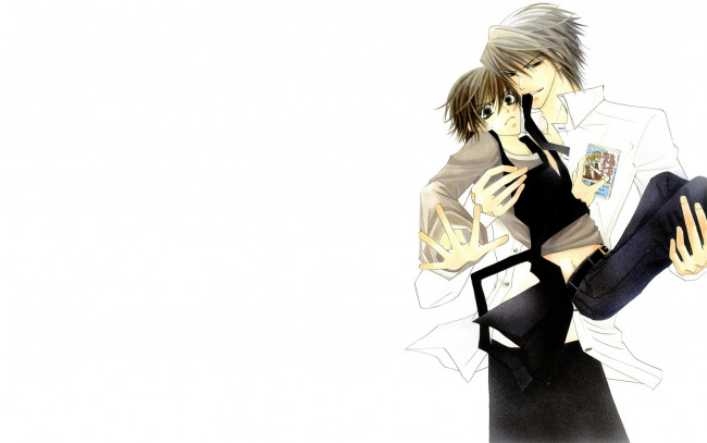 Обои картинки фото аниме, junjou romantica, мисаки, усами, акихико