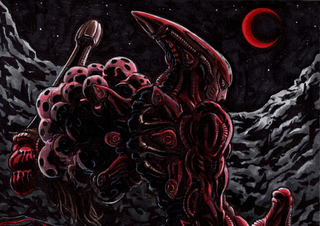 Обои картинки фото аниме, hunter x hunter, солдат, муравей