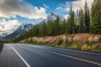 Картинка природа дороги простор