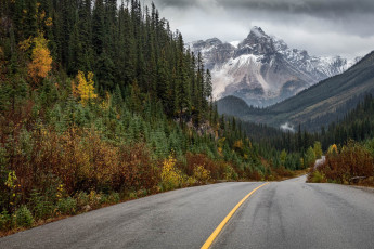 Картинка природа дороги простор