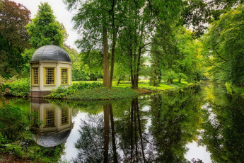 Картинка природа парк простор