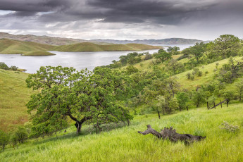 Картинка природа пейзажи простор