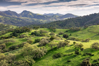 Картинка природа пейзажи простор