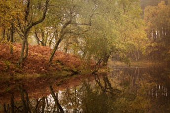 Картинка природа реки озера простор