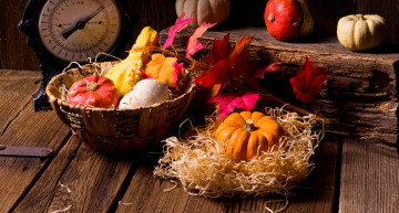 Картинка еда тыква дары осени листья корзина