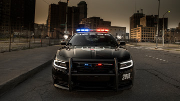 обоя dodge charger pursuit 2015, автомобили, dodge, charger, pursuit, 2015