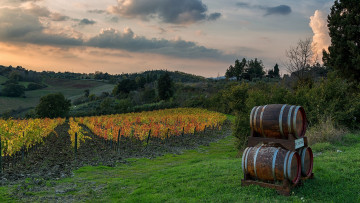 Картинка природа пейзажи простор