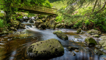 Картинка природа реки озера простор