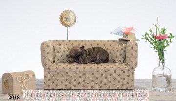 Картинка календари животные цветы диван собака