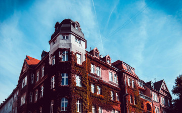 Картинка города -+здания +дома плющ башня здание