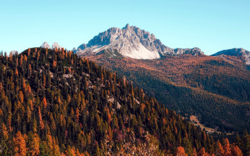 Картинка природа горы вершина деревья