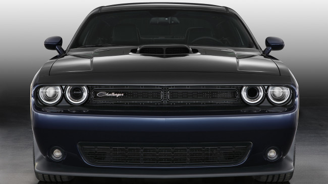 Обои картинки фото dodge challenger mopar contusion blue 2017, автомобили, dodge, challenger, mopar, contusion, blue, 2017