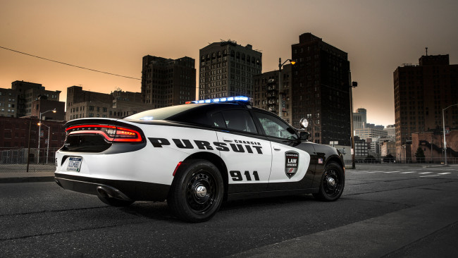 Обои картинки фото dodge charger pursuit 2015, автомобили, dodge, charger, pursuit, 2015