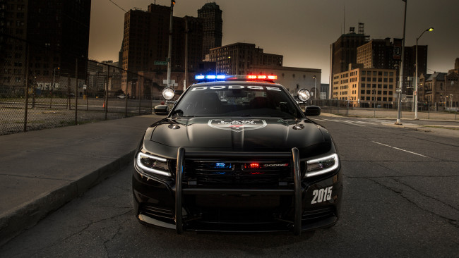 Обои картинки фото dodge charger pursuit 2015, автомобили, dodge, charger, pursuit, 2015
