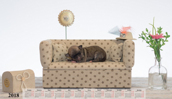 Обои картинки фото календари, животные, цветы, диван, собака