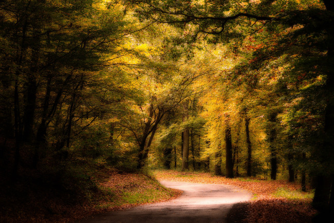 Обои картинки фото природа, дороги, простор