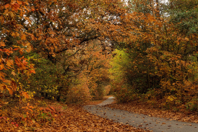 Обои картинки фото природа, дороги, простор